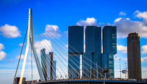 Erasmus Brücke in Rotterdam