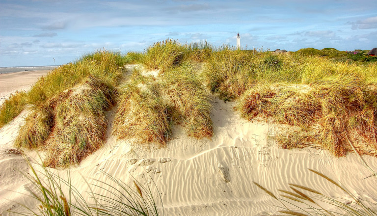 Blavand Strand