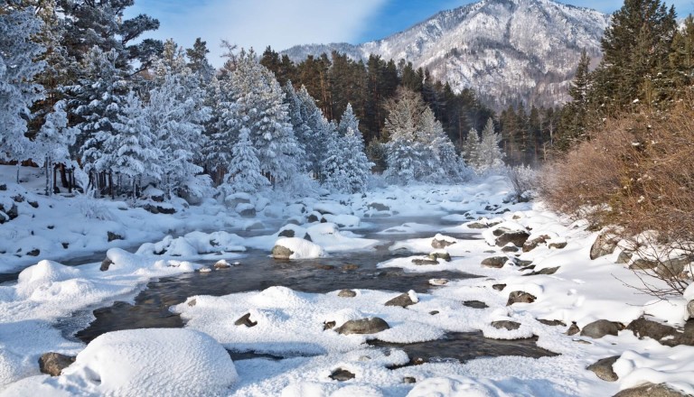 Dezember Urlaub Reisekalender