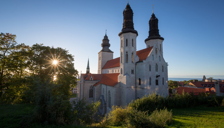 Visby Dom