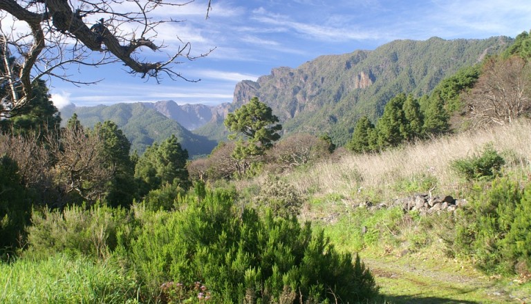 Reisen nach La Palma