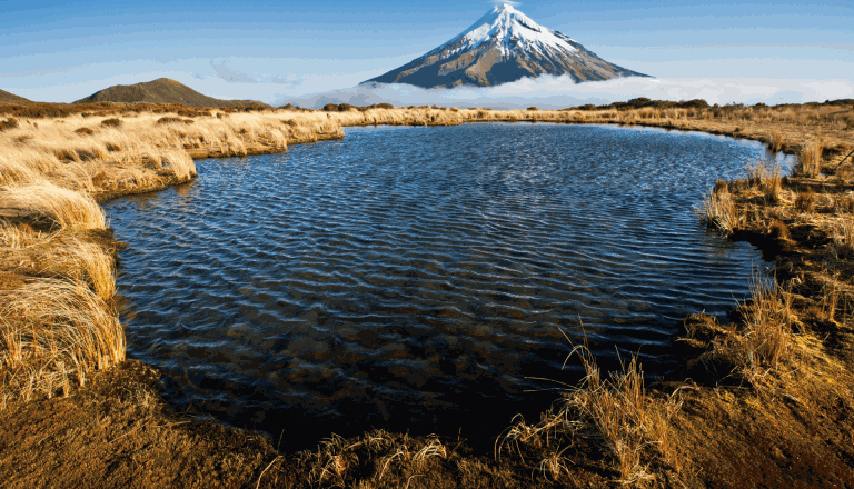 Neuseeland Natur