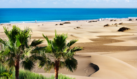 Sanddünen Maspalomas